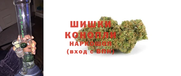 прущие грибы Лихославль